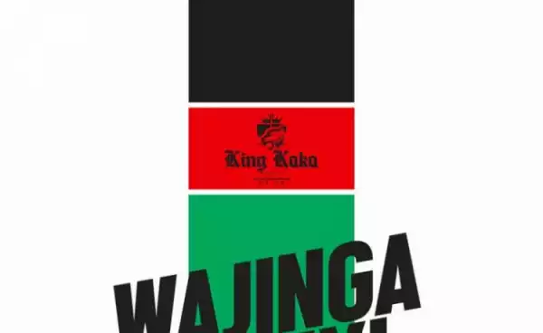 King Kaka - Wajinga Nyinyi